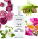MINOR Ma Vie 100ml France